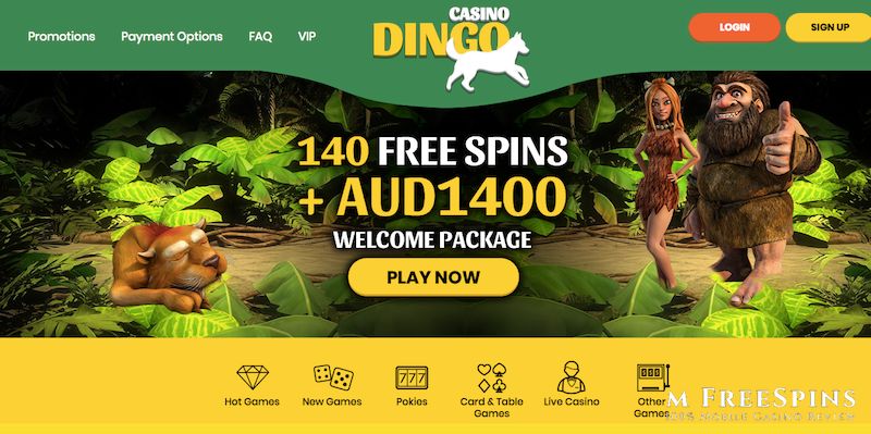 Mobile Casino Dingo Review