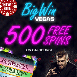 big win vegas casino no deposit bonus
