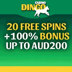 casino dingo no deposit bonus