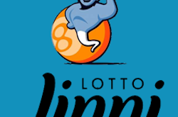 jinni lotto casino no deposit bonus