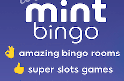 mintbingo casino no deposit bonus