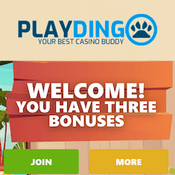 playdingo casino no deposit bonus