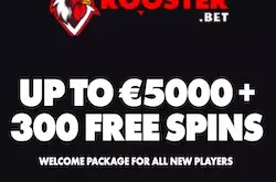 rooster bet casino no deposit bonus
