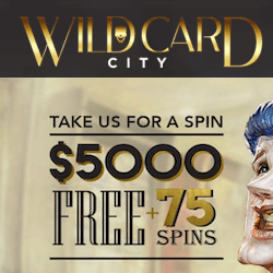 wild card city casino no deposit bonus
