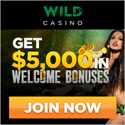 wild casino no deposit bonus
